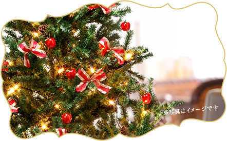 ロビーのクリスマスツリーイメージ