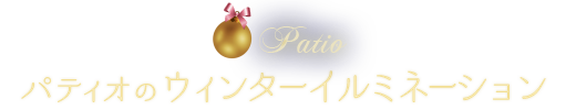 パティオのウィンターイルミネーション