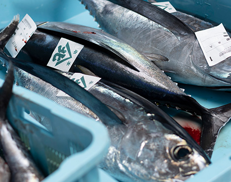 新鮮な魚介