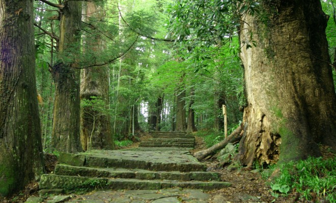 熊野古道