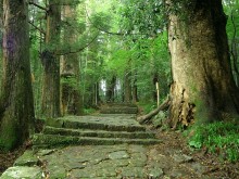 熊野古道
