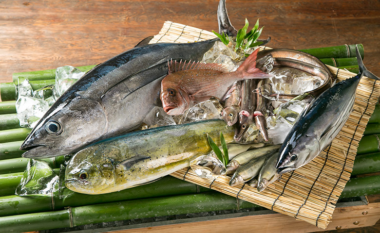 本日の地魚