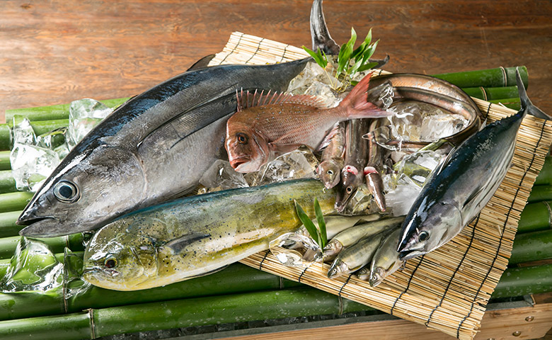 本日の地魚