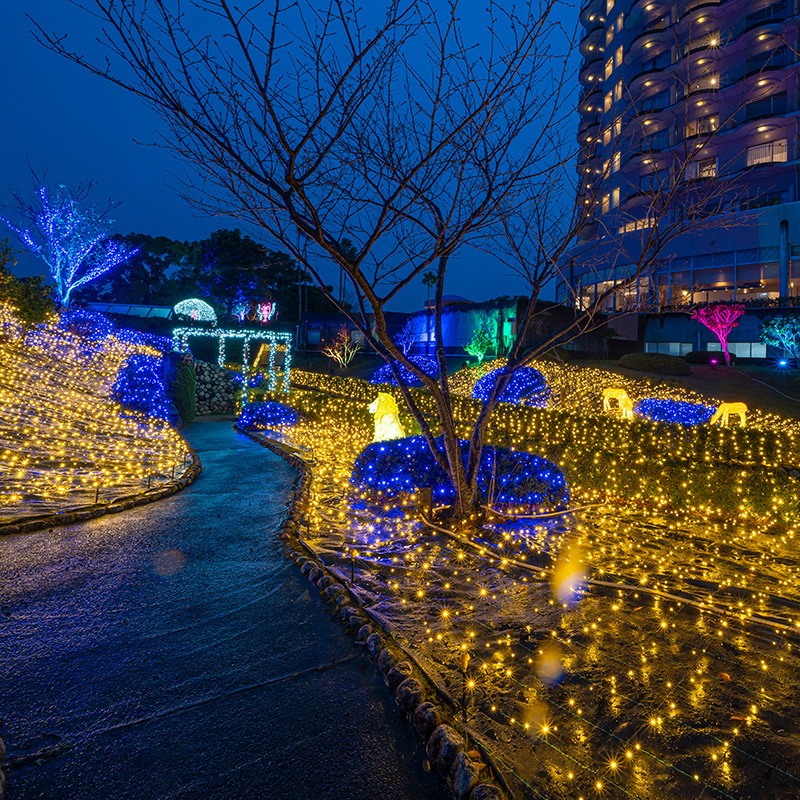 Iluminous Ocean イルミナスオーシャン