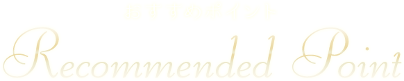 おすすめポイント
