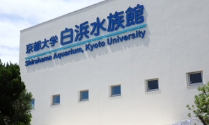 京都大学白浜水族館