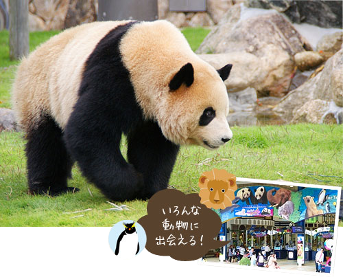 アドベンチャーワールド