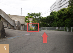 路線資訊